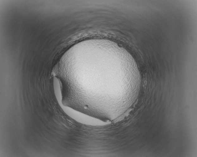 X0000082161490200702162221