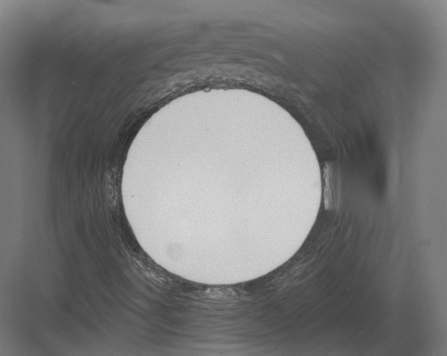 X0000082161491200702162221