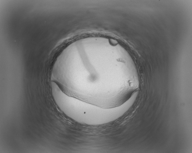 X0000082161494200702162221