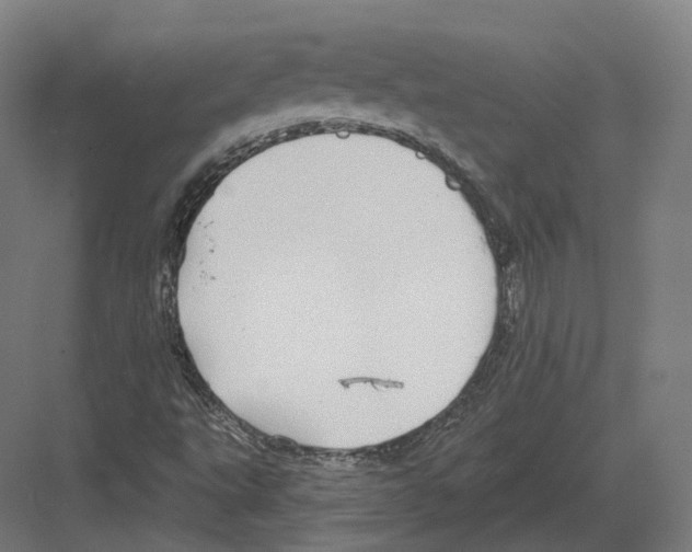 X0000082161495200702162221