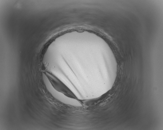 X0000082161496200702162221