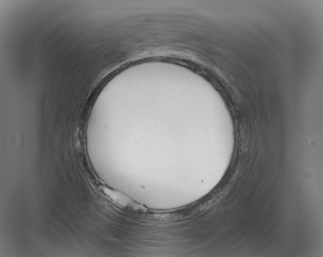 X0000082161497200702162221