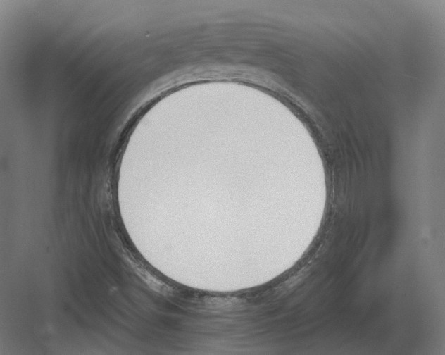 X0000082161498200702162221