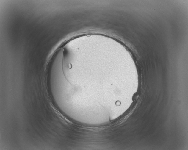 X0000082161502200702162221