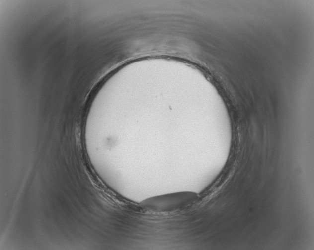 X0000082161505200702162221