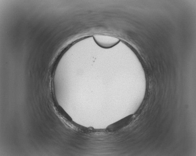 X0000082161507200702162221