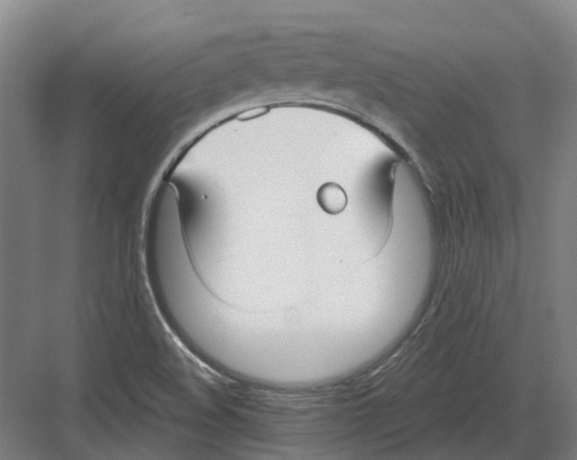 X0000082161508200702162221