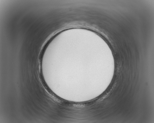 X0000082161509200702162221