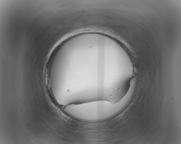 X0000082161510200702162221