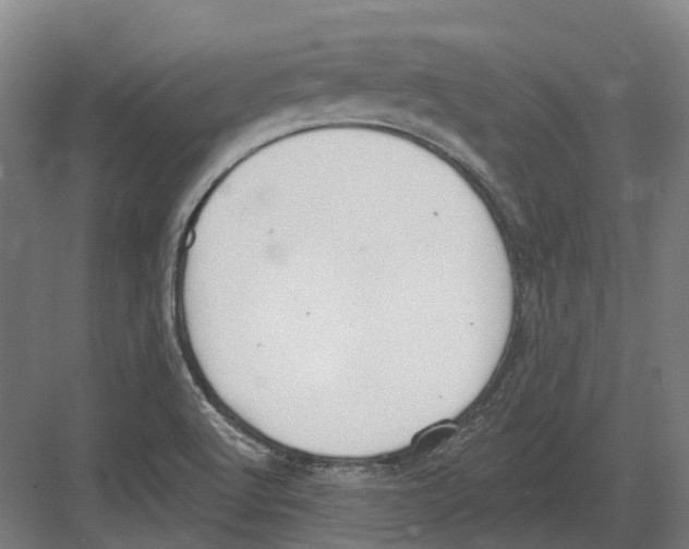 X0000082161512200702162221