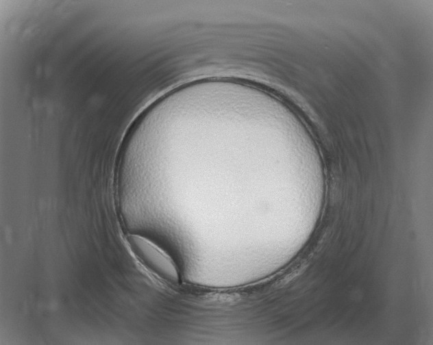 X0000082161513200702162221