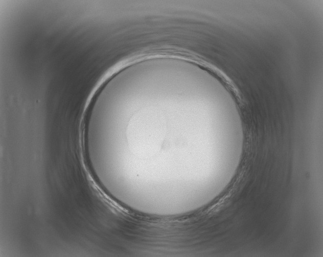 X0000082161514200702162221