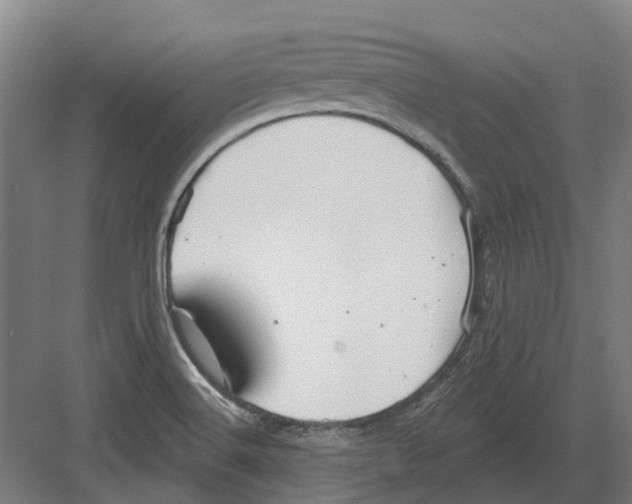 X0000082161516200702162221