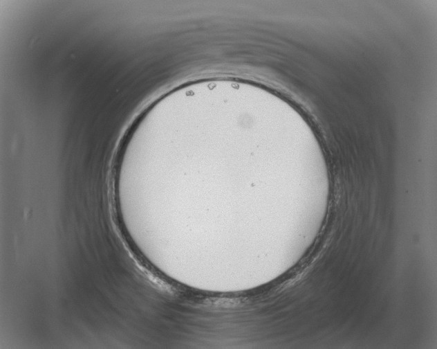 X0000082161517200702162221