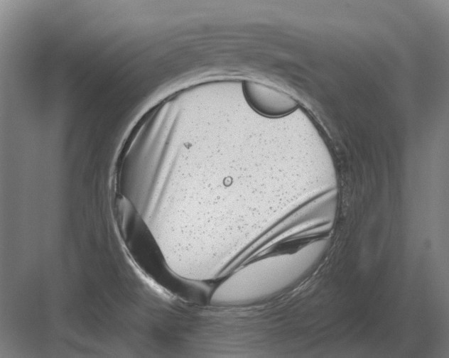 X0000082161519200702162221