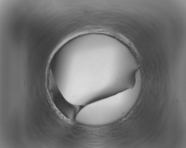 X0000082161520200702162221