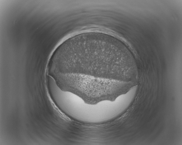 X0000082161522200702162221