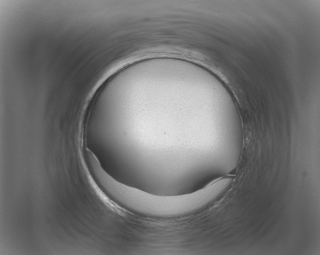 X0000082161523200702162221