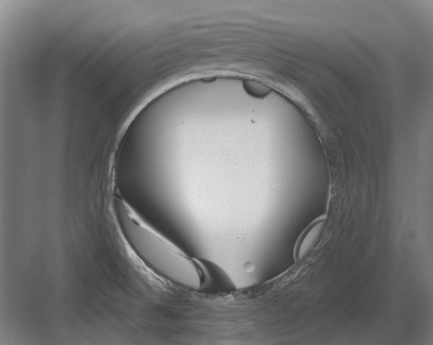 X0000082161524200702162221