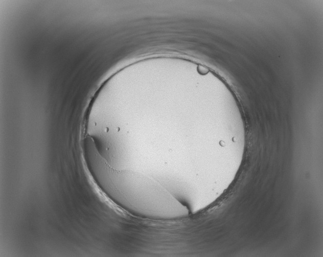 X0000082161526200702162221