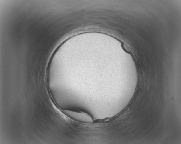 X0000082161527200702162221