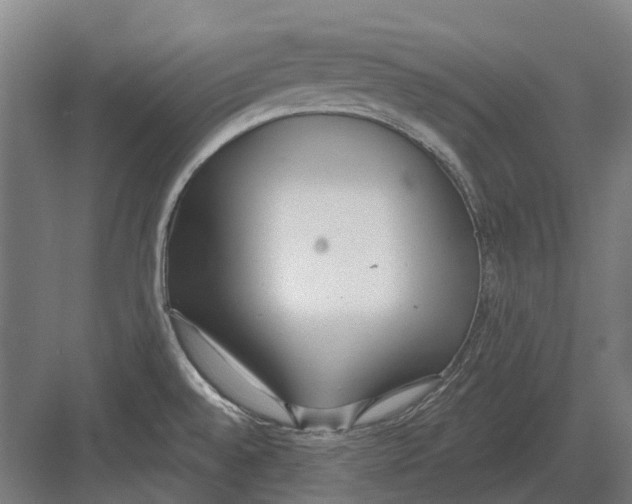 X0000082161528200702162221