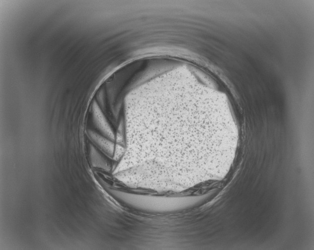 X0000082161529200702162221