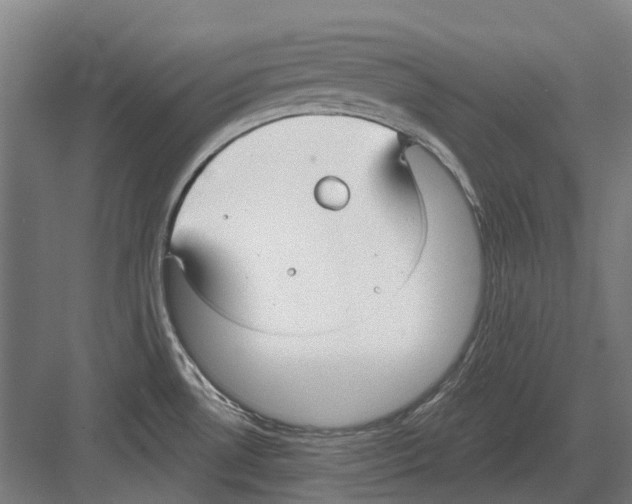 X0000082161530200702162221