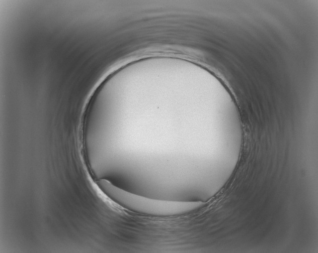 X0000082161531200702162221