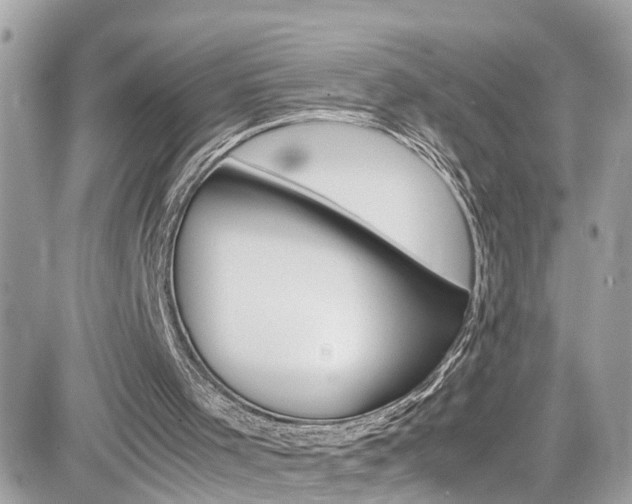 X0000082170001200701191032