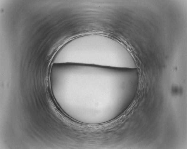 X0000082170002200701191032