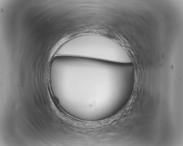 X0000082170003200701191032