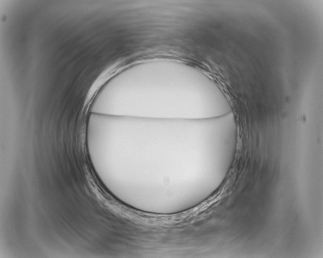 X0000082170004200701191032