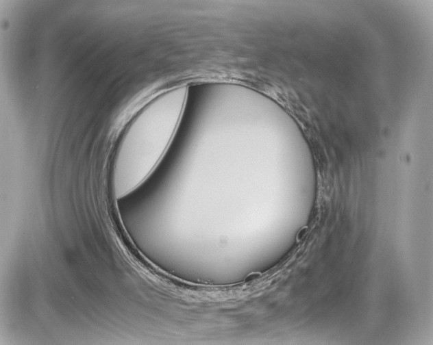 X0000082170005200701191032