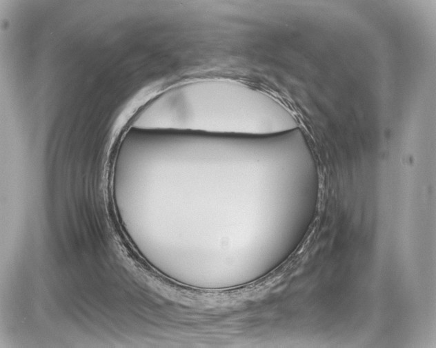 X0000082170006200701191032