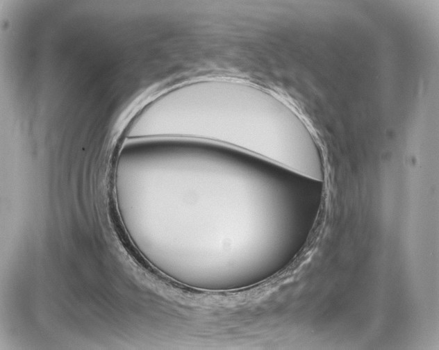 X0000082170007200701191032