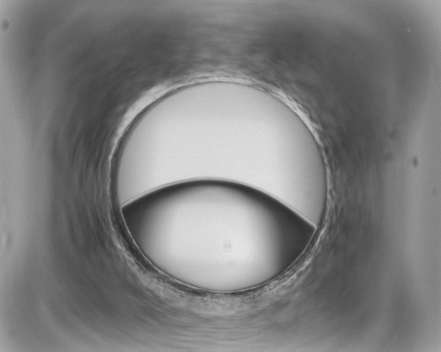 X0000082170008200701191032