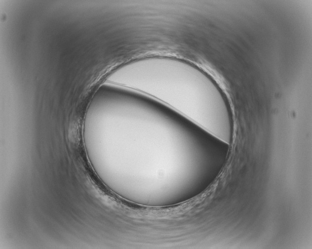 X0000082170009200701191032