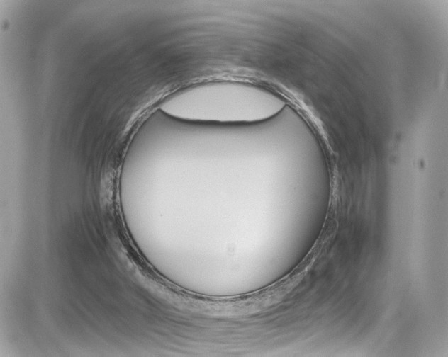 X0000082170010200701191032