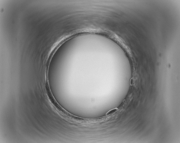 X0000082170011200701191032