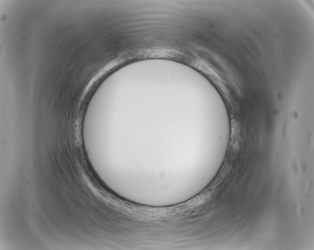 X0000082170012200701191032