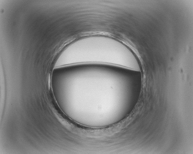 X0000082170013200701191032