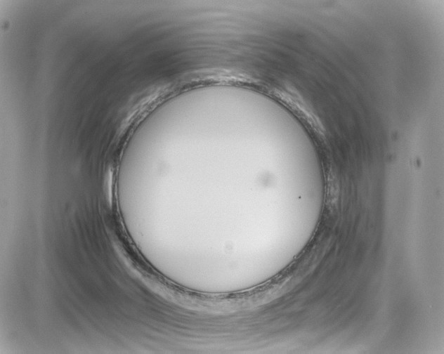 X0000082170014200701191032