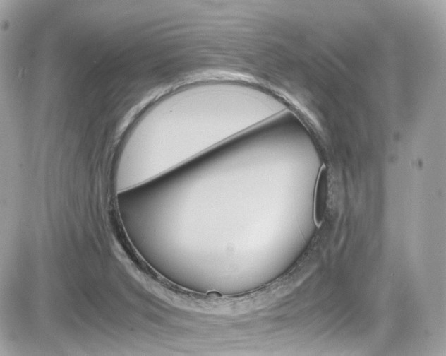 X0000082170015200701191032