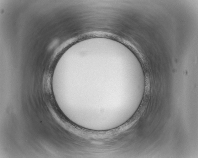 X0000082170016200701191032