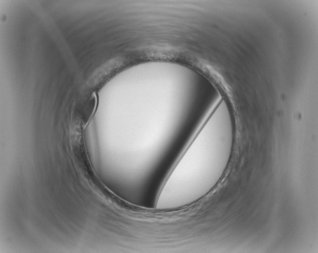 X0000082170017200701191032