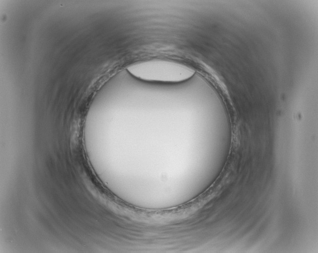 X0000082170018200701191032