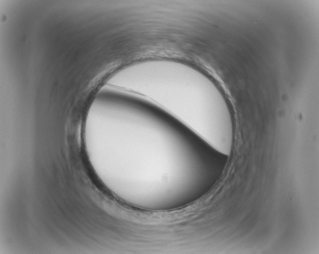 X0000082170019200701191032