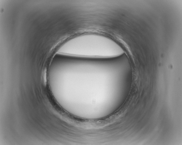 X0000082170020200701191031