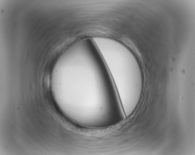 X0000082170021200701191031